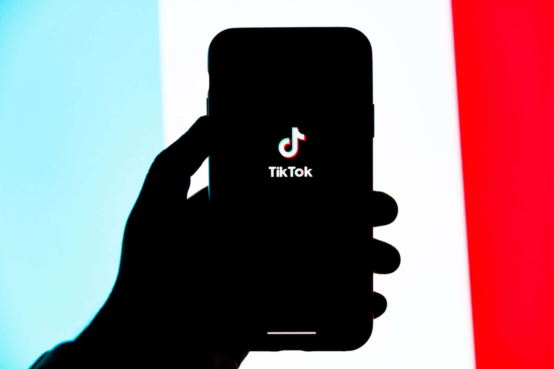 Download TikTok Videos Without Watermark and Make Money